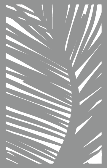 CEL24