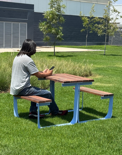 MESA PICNIC CRPIC-02